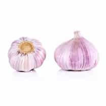 Votre primeur propose, Ail violet