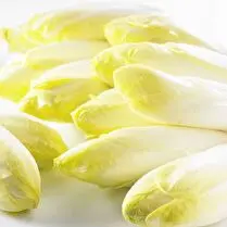 Votre primeur propose, Endive de pleine terre