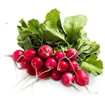Votre primeur propose, Radis rouge 1kg