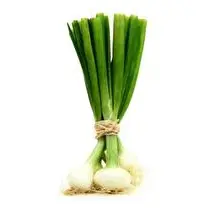 Votre primeur propose, Oignon botte