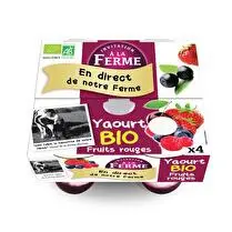 Invitation à la ferme, Yaourt aux fruits rouges bio