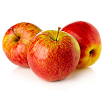 Votre primeur propose, Pomme elstar
