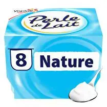 Yoplait, Spécialité laitière nature