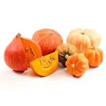 Votre primeur, Courges muscade
