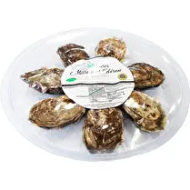 Votre poissonnier propose, Assiette Huitres Marennes Oléron Fines de Claires N°3