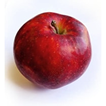 Votre producteur local, Pomme Dalyrian