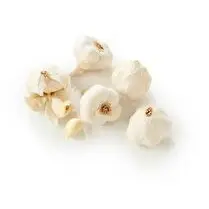 Votre primeur propose, Ail blanc 3 têtes