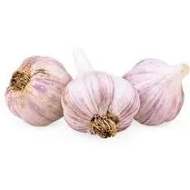 Votre primeur propose, Ail violet