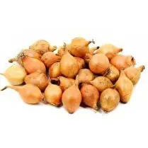 Votre primeur propose, Oignon saucier 500g