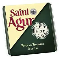 Saint Agur, Fromage à pâte persillée