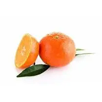 Votre primeur propose, Mandarine Nadorcot