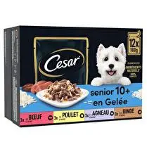 César, Sachet fraîcheur senior en gelée pour chien