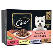 César, Sachet fraîcheur adulte en sauce pour chien