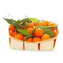 Votre primeur, Mandarines feuille barquette 1kg