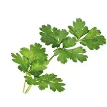 Votre primeur propose, Persil plat 80g