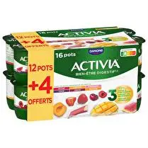 Danone, Yaourt bifidus aux fruits Aux fruits panachés - 12 x 125 g + 4 offerts