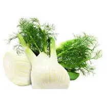 Votre producteur local propose, Fenouil local