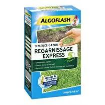 Algoflash, Semences gazon regarnissage express 5 jours 1 kg