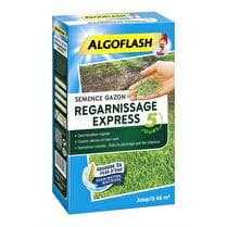 ALGOFLASH Semences gazon regarnissage express 5 jours 1 kg