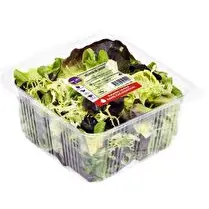 Voie verte, salade de saison barquette 150g