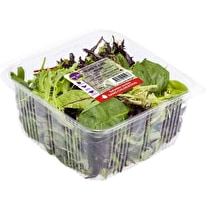 Voie verte, melange jeune pousse barquette 150g