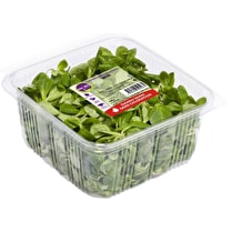 Voie verte, Mâche barquette 150g