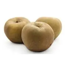 Votre producteur local propose, Pomme canada locale