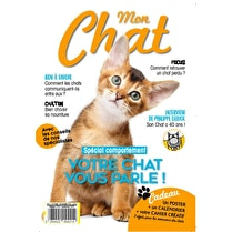 Magazine, Mon chat innovation