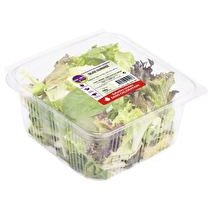 VOIE VERTE salade gourmande barquette 150g
