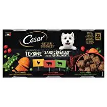 César, Boite terrine pour chien adulte