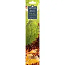 Devineau, Bâtonnets x20 d'encens patchouli d'indonésie