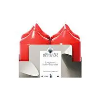 Devineau, Bougies 58H85 rouge non parfumées x4