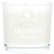 Devineau, Verre coloré et sérigraphié d70 jasmin d'egypte
