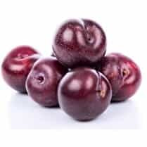 Votre primeur propose, Prune rouge barquette 500g