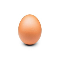 Ch'tites Poules, Oeufs frais BIO