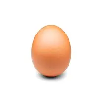 Cassandra Flament, Oeufs frais BIO