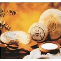 Vivaldi, Tomme italienne