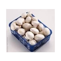 Votre primeur propose, Champignons blancs 250g