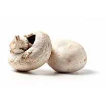 VOTRE PRIMEUR PROPOSE champignon geant blanc