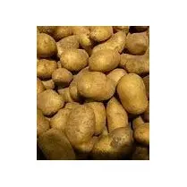Votre primeur propose, Pomme de terre de consommation 2.5kg