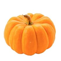 Votre primeur propose, Courge jack be little