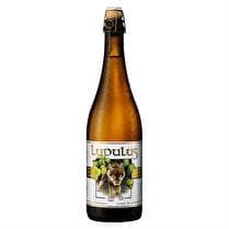 LUPULUS Bière Triple blonde 8.5%