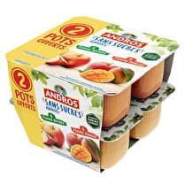 ANDROS Dessert fruitier sans sucres ajoutés Pomme/ pomme-mangue  - 8 x 100 g dont 2 offerts