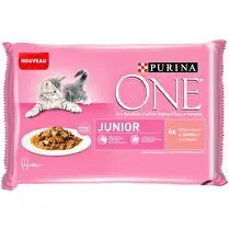 Purina, Effilés en sauce junior au saumon et aux carottes