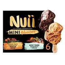 NUII Mini bâtonnets assortiment Texan Pecan / New York Cookies