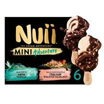 NUII Mini bâtonnets glacés  Java vanilla & italian roasted hazelnut