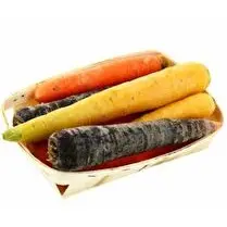 Votre producteur local propose, Carotte panachée bio local 800g