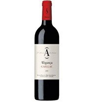 ALIGANÇA Gaillac AOP Rouge 2020 13.5%