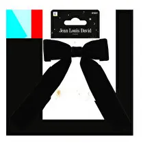 Jean-Louis David, Noeud astro rock