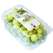 Sélectionné par nos pros, Raisin blanc sans pépin 500g